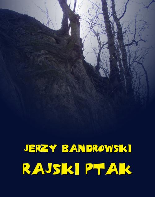 Tytuł: Rajski ptak
Autor: Jerzy Bandrowski
Wydawnictwo: Armoryka
Formaty: EPUB, MOBI