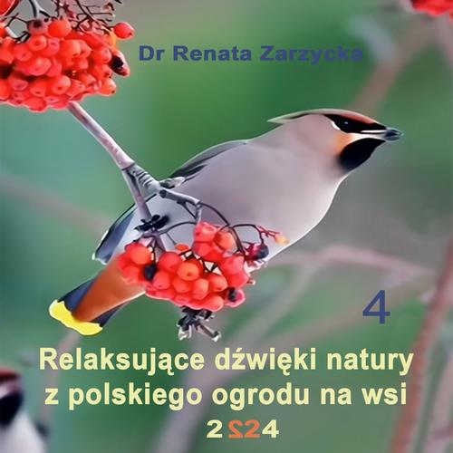 Tytuł: Relaksujące dźwięki natury z polskiego ogrodu na wsi
Autor: Dr Renata Zarzycka
Wydawnictwo: Akademia Rozwoju Coaching Życia
Formaty: MP3