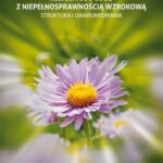 Religijność osób z niepełnosprawnością wzrokową — okładka e-booka