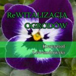 Tytuł: Rewitalizacja ogrodów
Autor: Krzysztof Lewandowski
Wydawnictwo: Wydawnictwo e-bookowo
Formaty: PDF, EPUB, MOBI