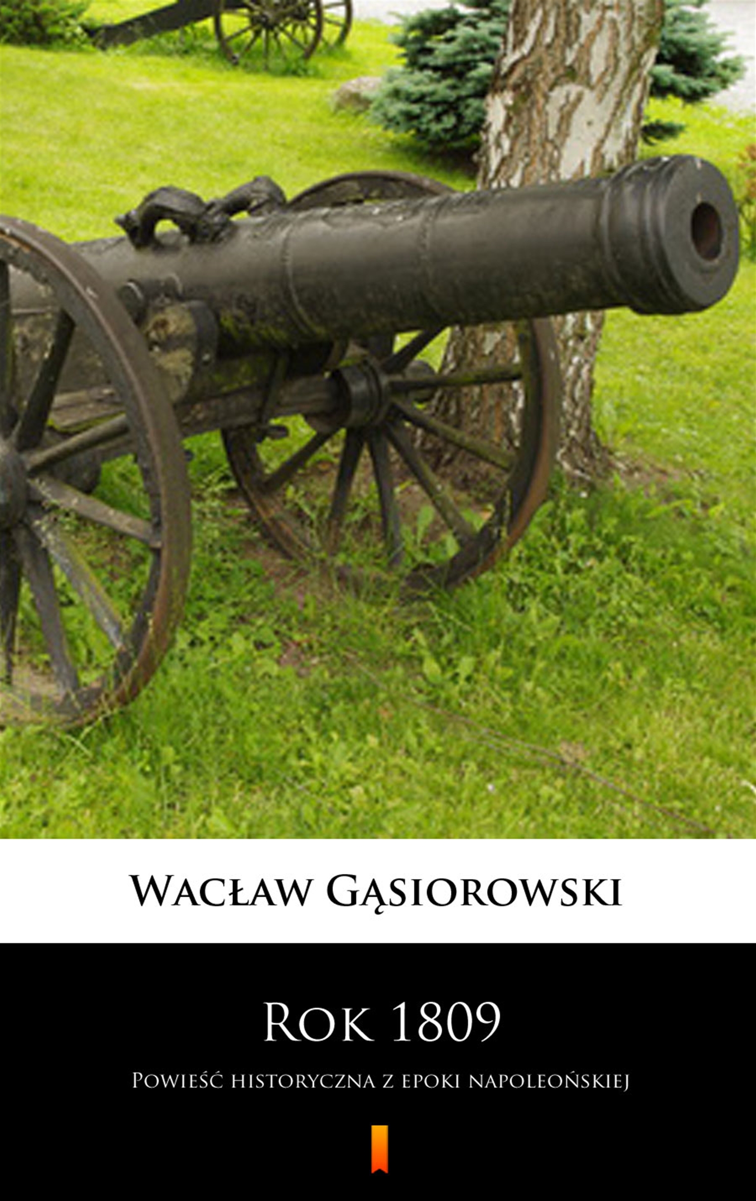 Tytuł: Rok 1809. Powieść historyczna z epoki napoleońskiej
Autor: Wacław Gąsiorowski
Wydawnictwo: KtoCzyta.pl
Formaty: EPUB, MOBI