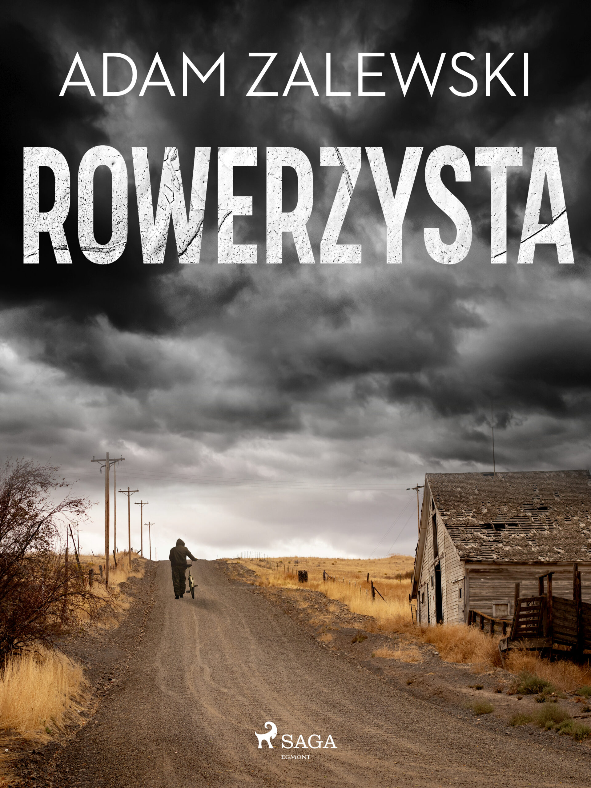 Tytuł: Rowerzysta
Autor: Adam Zalewski
Wydawnictwo: SAGA Egmont
Formaty: EPUB, MOBI