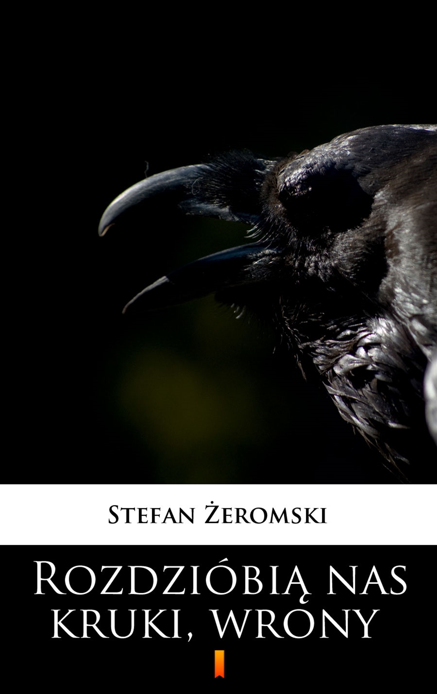 Tytuł: Rozdzióbią nas kruki, wrony
Autor: Stefan Żeromski
Wydawnictwo: KtoCzyta.pl
Formaty: EPUB, MOBI