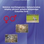 Tytuł: Różnice morfologiczne i behawioralne między płciami gołębia miejskiego Columba livia
Autor: Tomasz Hetmański
Wydawnictwo: Uniwersytet Pomorski w Słupsku
Formaty: PDF