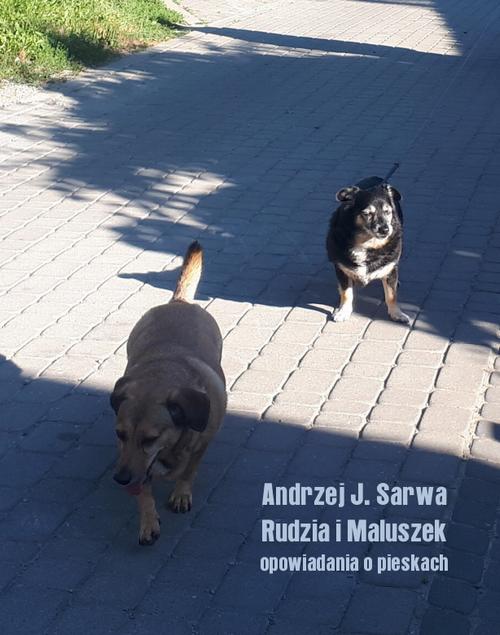 Tytuł: Rudzia i Maluszek. Opowiadania o pieskach
Autor: Andrzej Juliusz Sarwa
Wydawnictwo: Armoryka
Formaty: EPUB, MOBI