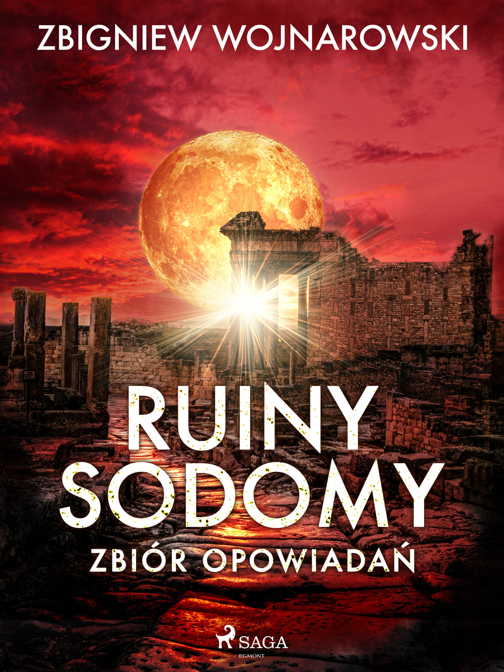 Ruiny Sodomy - zbiór opowiadań — okładka e-booka
