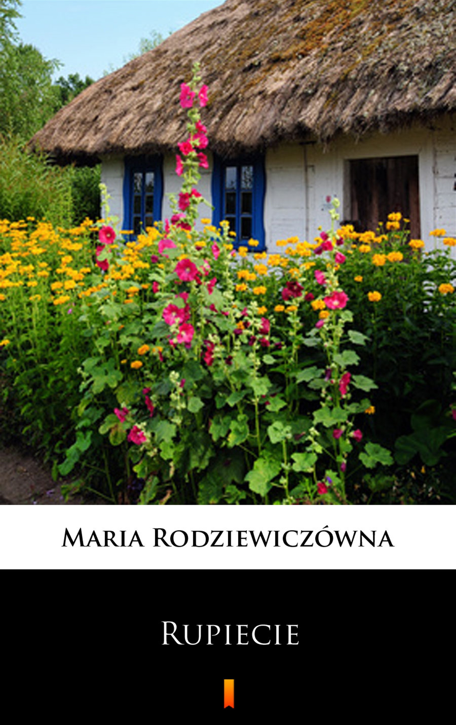 Tytuł: Rupiecie
Autor: Maria Rodziewiczówna
Wydawnictwo: KtoCzyta.pl
Formaty: EPUB, MOBI
