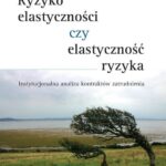Ryzyko elastyczności czy elastyczność ryzyka — okładka e-booka