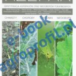 Tytuł: Rzepak - chwasty, choroby, szkodniki, niedobory
Autor: Marek Mrówczyński, Marek Korbas, Witold Szczepaniak, Łukasz Sobiech, Ewa Jajor, Przemysław Strażyński, Joanna Horoszkiewicz-Janka, Patryk Szychowiak, Jakub Danielewicz, Monika Grzanka, Daria Antkowiak
Wydawnictwo: Agro Wydawnictwo
Formaty: PDF
