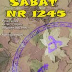 Tytuł: Sabat numer 1245
Autor: Halina Bajorska
Wydawnictwo: Wydawnictwo e-bookowo
Formaty: EPUB, PDF, MOBI