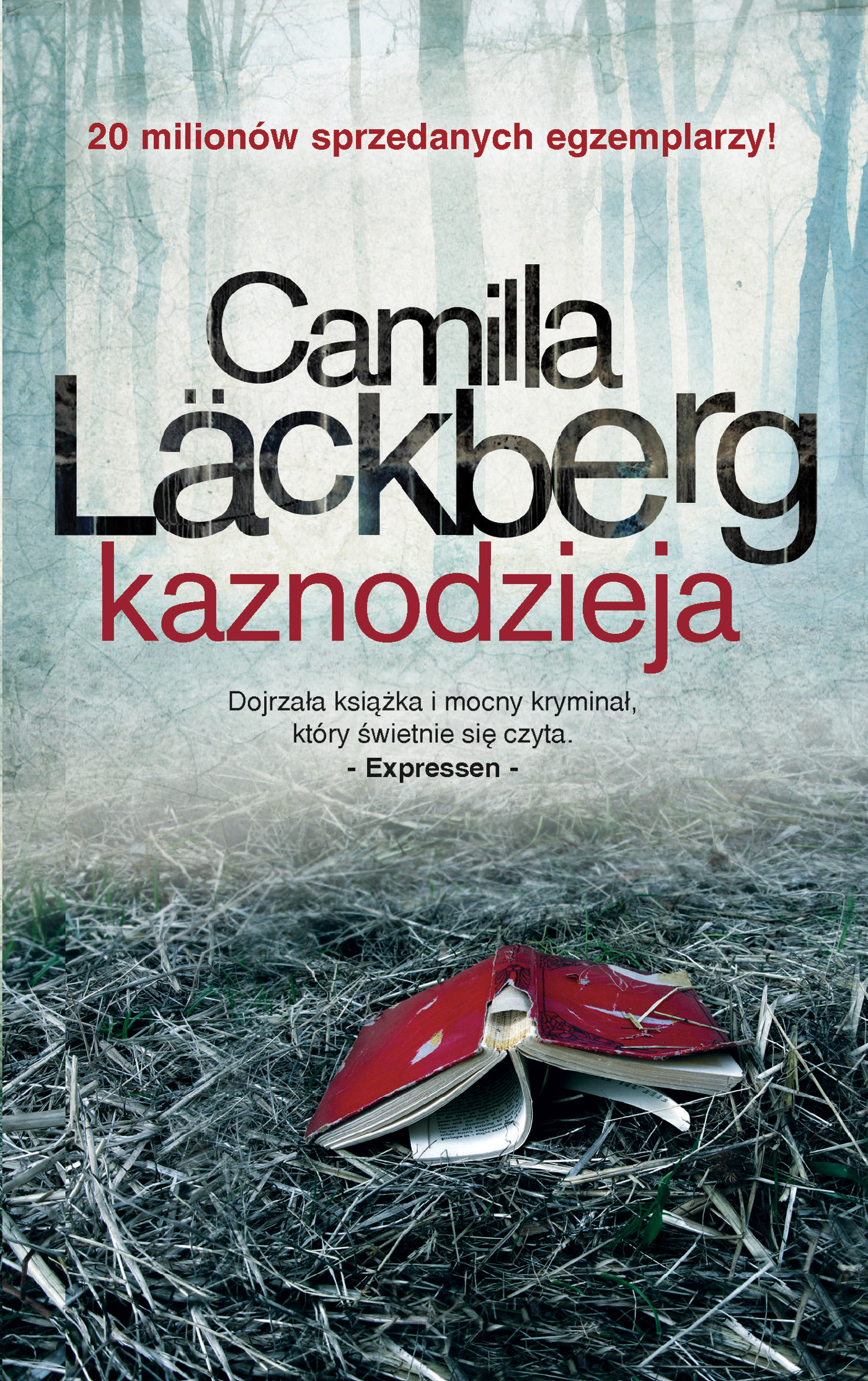 Tytuł: Saga o Fjällbace (tom 2). Kaznodzieja
Autor: Camilla Läckberg
Wydawnictwo: Wydawnictwo Czarna Owca
Formaty: EPUB, MOBI