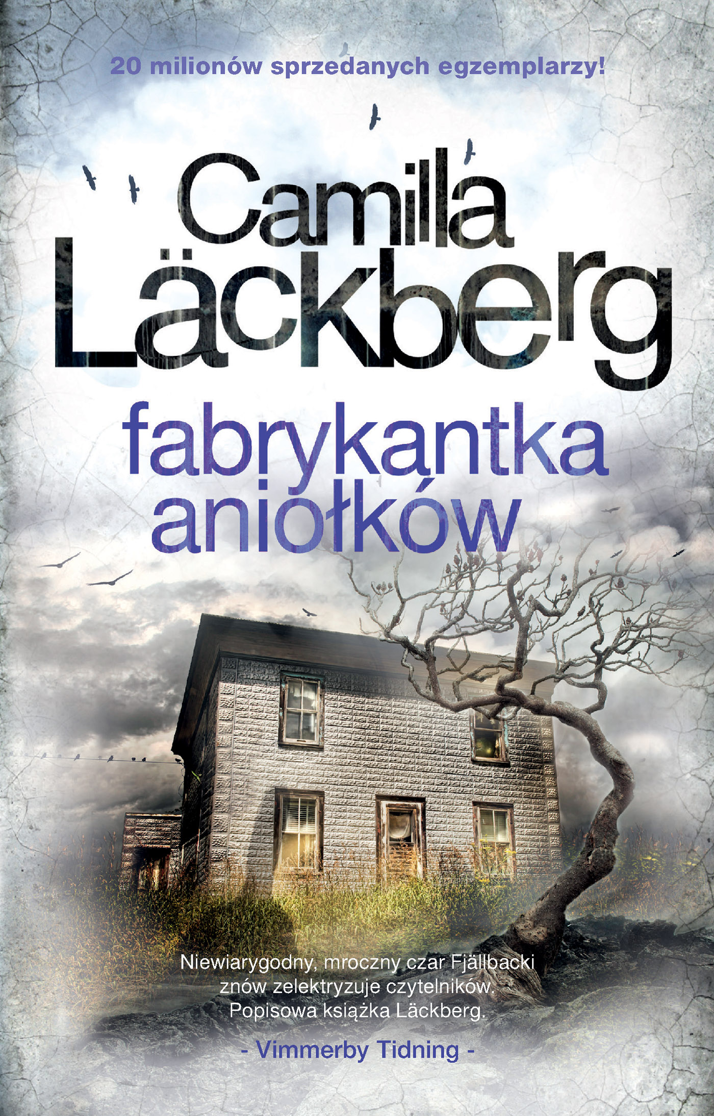 Tytuł: Saga o Fjällbace (tom 8). Fabrykantka aniołków
Autor: Camilla Läckberg
Wydawnictwo: Wydawnictwo Czarna Owca
Formaty: EPUB, MOBI