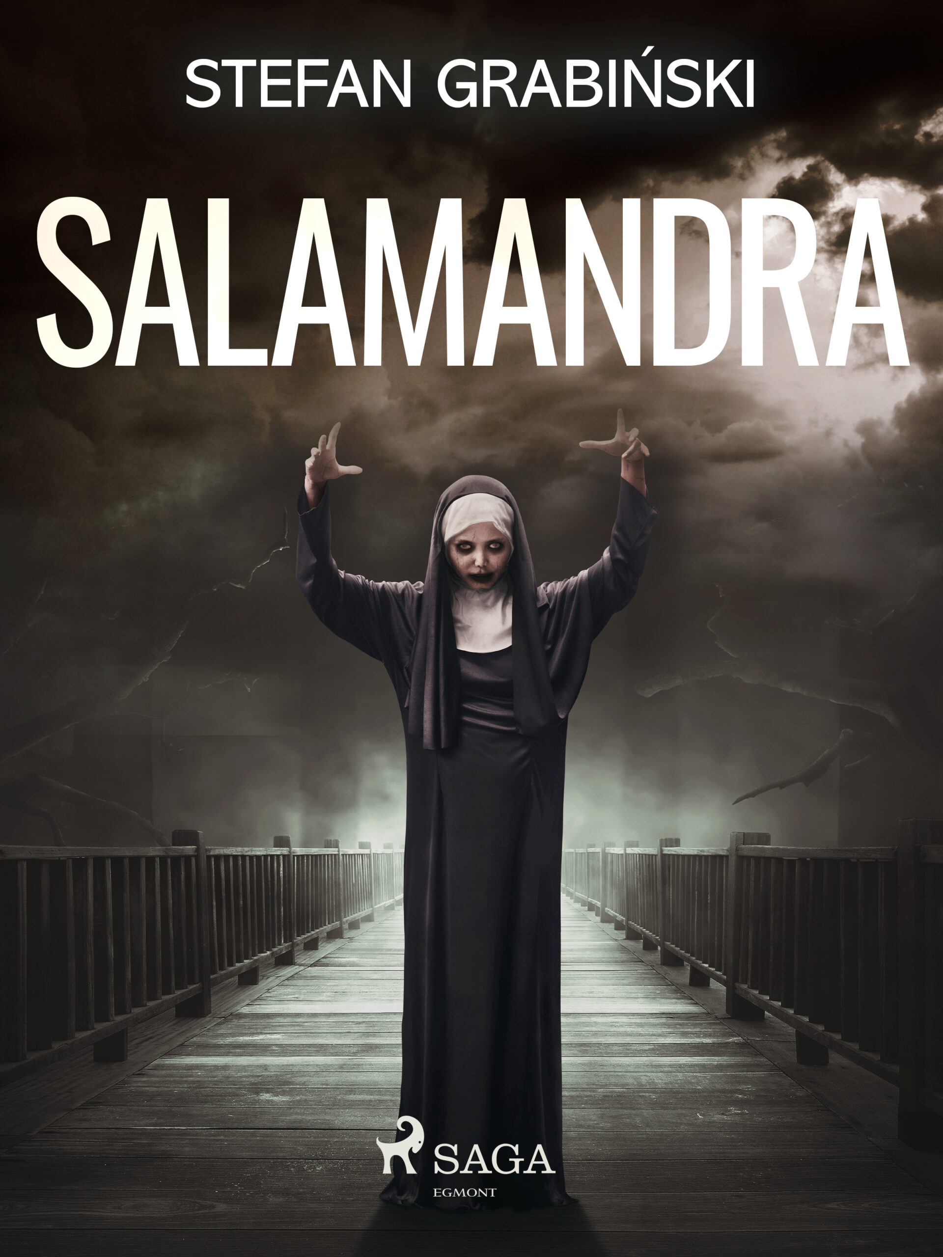 Salamandra — okładka e-booka