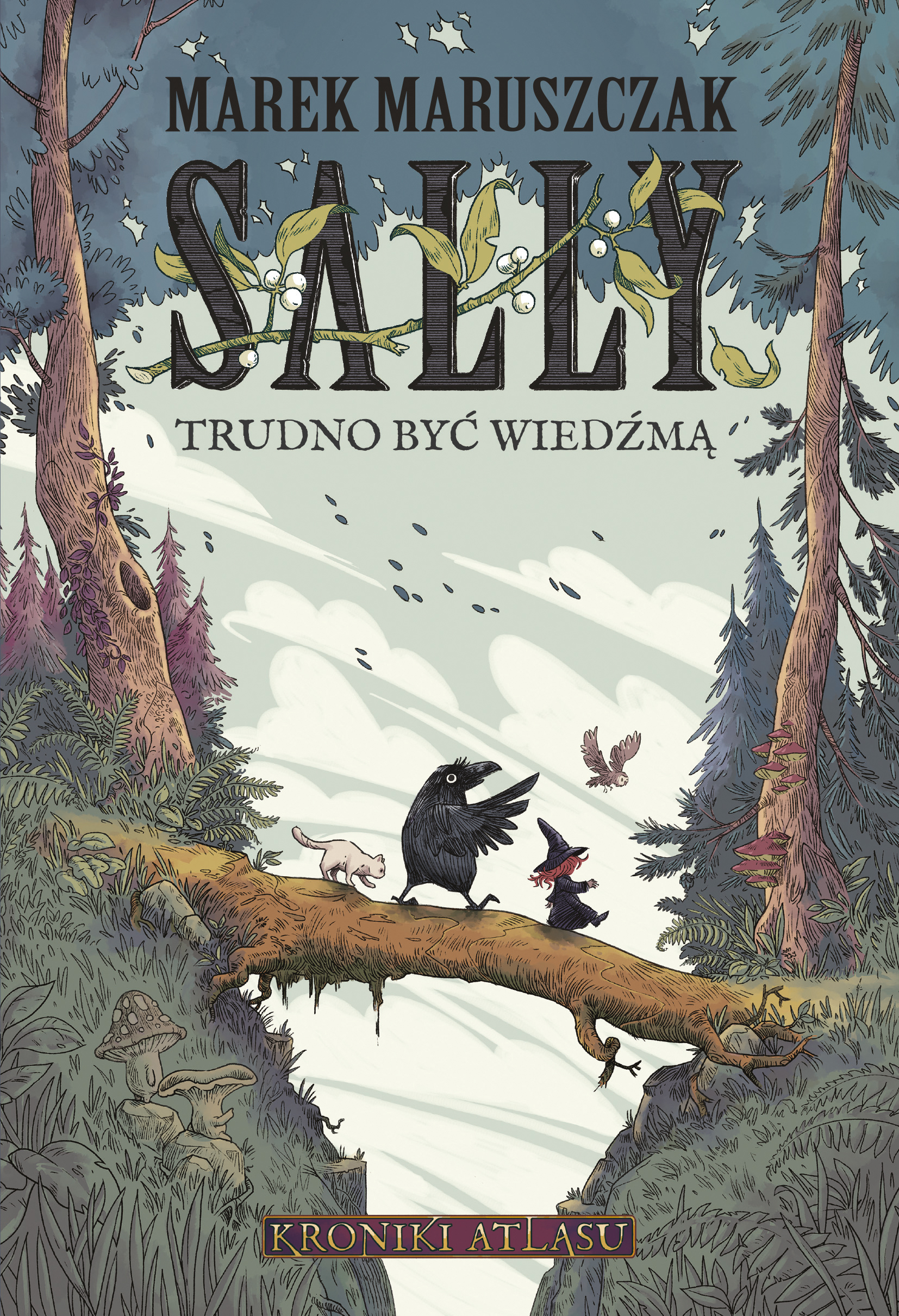 Tytuł: Sally. Trudno być wiedźmą
Autor: Marek Maruszczak
Wydawnictwo: Koncept
Formaty: EPUB, MOBI