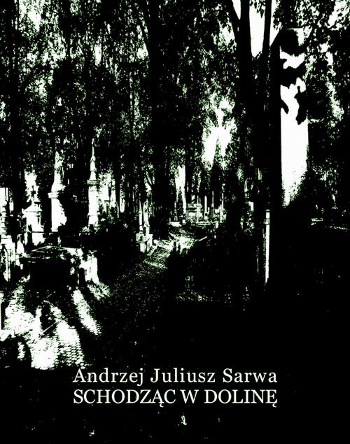 Tytuł: Schodząc w dolinę
Autor: Andrzej Juliusz Sarwa
Wydawnictwo: Armoryka
Formaty: EPUB, MOBI