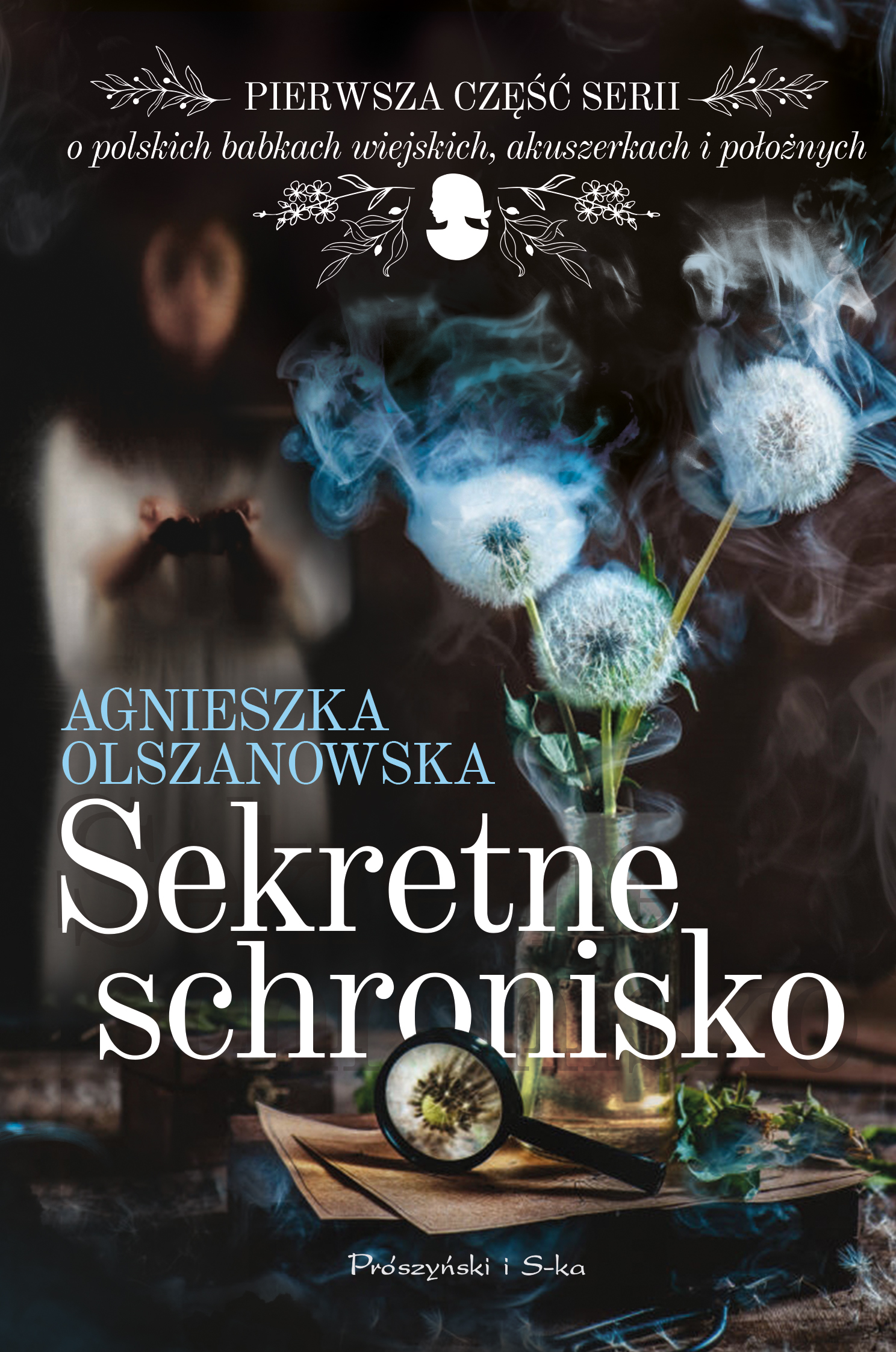 Sekretne schronisko — okładka e-booka