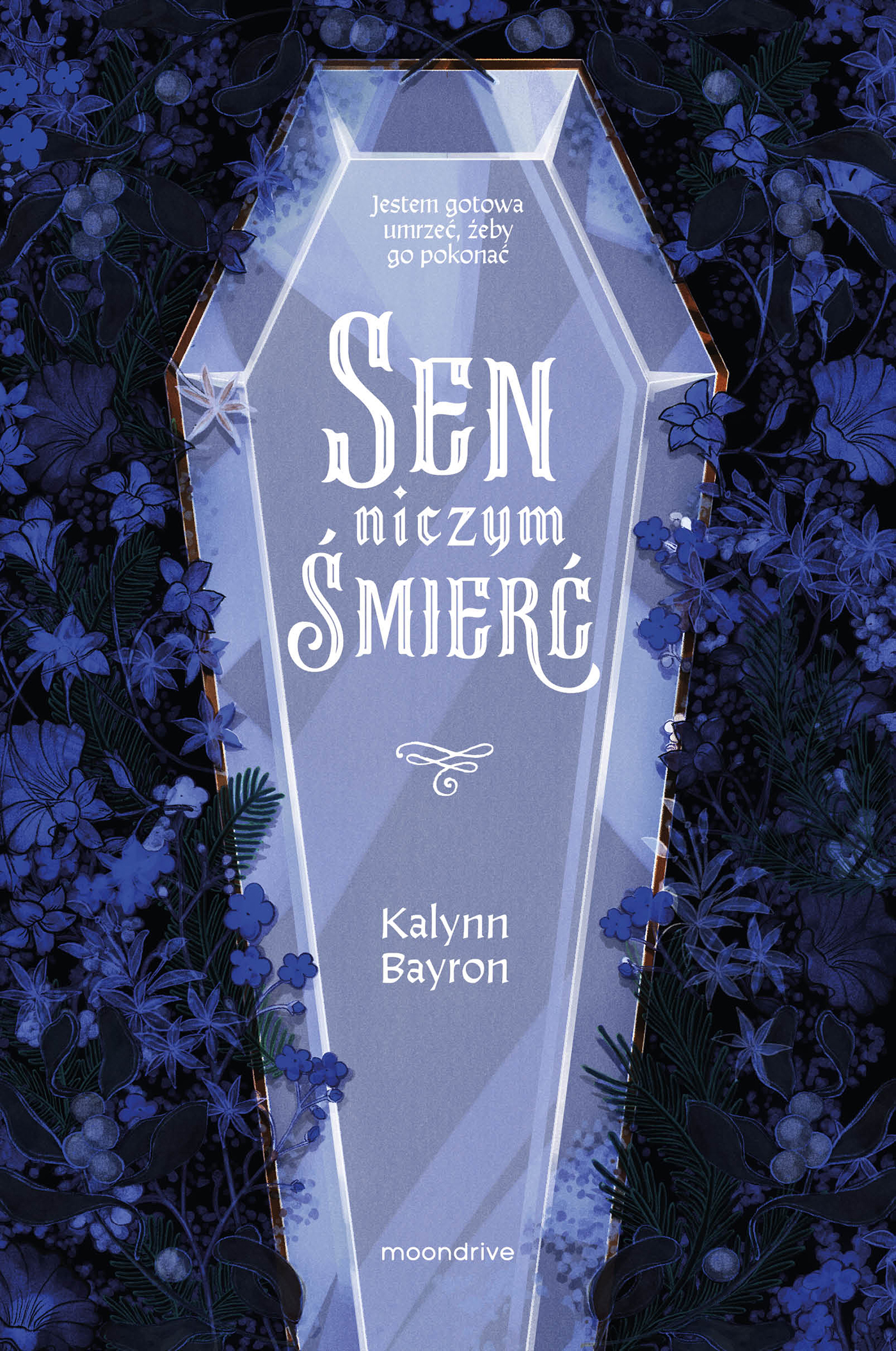 Tytuł: Sen niczym śmierć
Autor: Kalynn Bayron
Wydawnictwo: Wydawnictwo Otwarte
Formaty: EPUB, MOBI