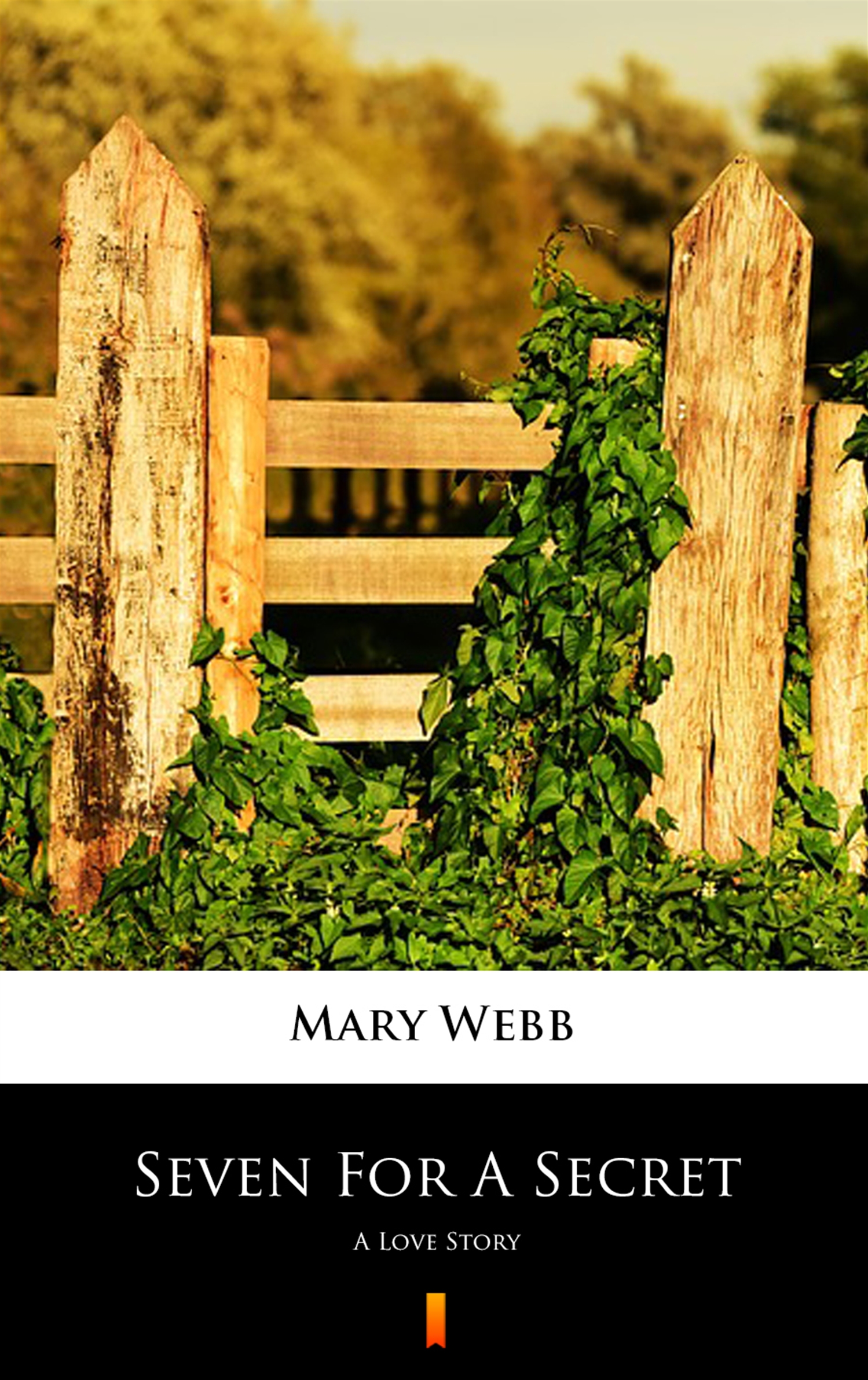 Tytuł: Seven For A Secret. A Love Story
Autor: Mary Webb
Wydawnictwo: KtoCzyta.pl
Formaty: EPUB, MOBI