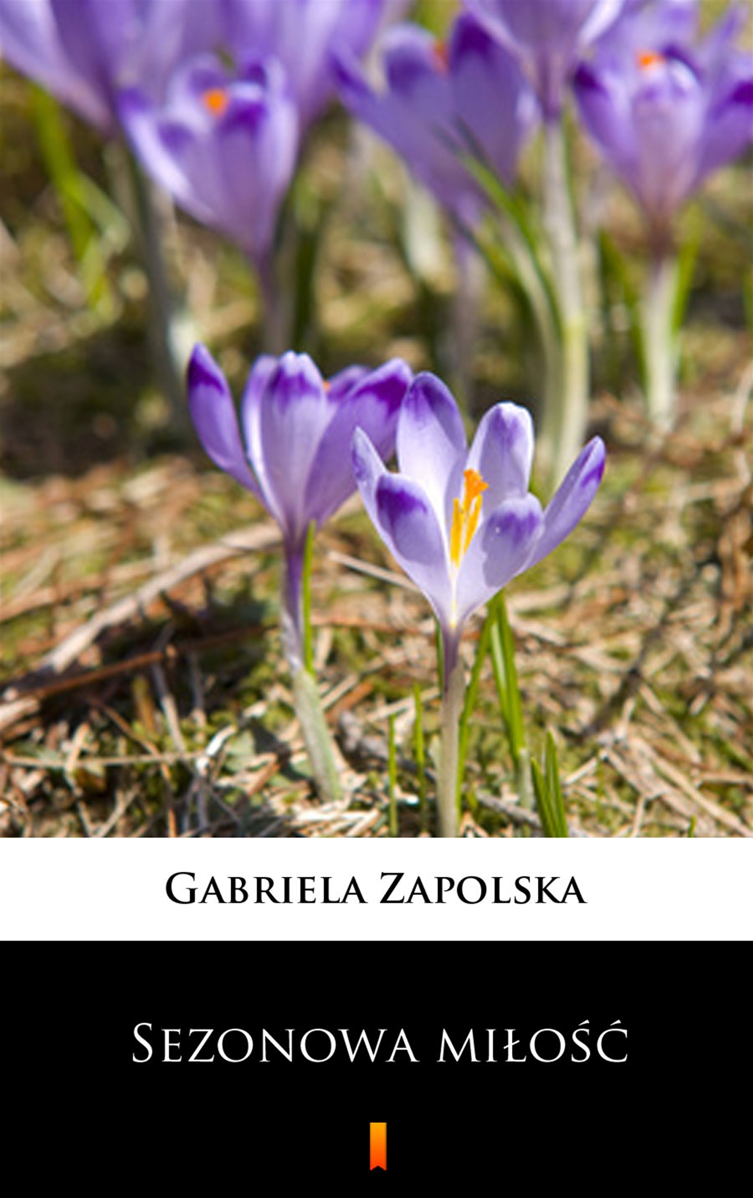 Tytuł: Sezonowa miłość
Autor: Gabriela Zapolska
Wydawnictwo: KtoCzyta.pl
Formaty: EPUB, MOBI
