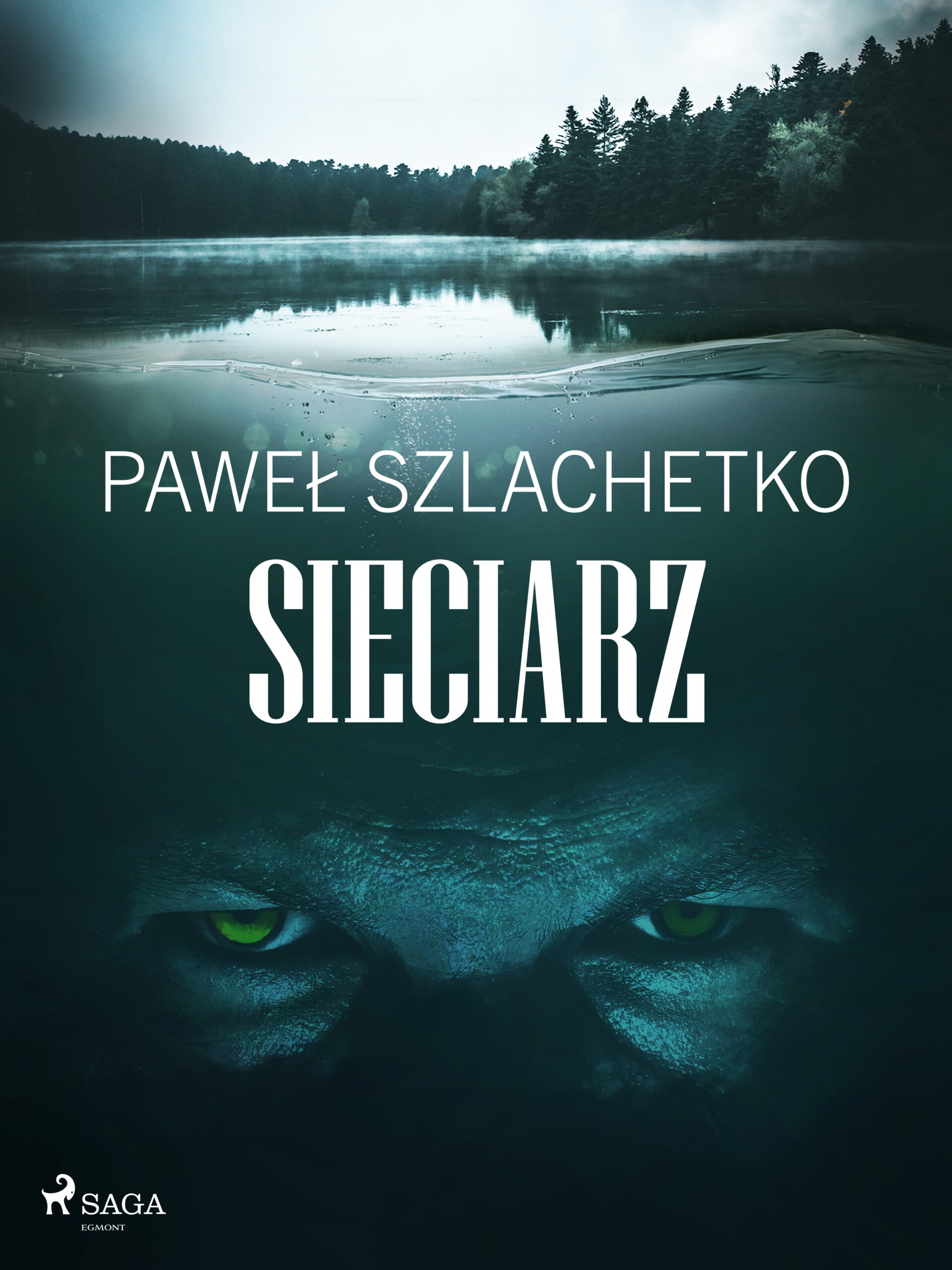 Tytuł: Sieciarz
Autor: Paweł Szlachetko
Wydawnictwo: SAGA Egmont
Formaty: EPUB, MOBI