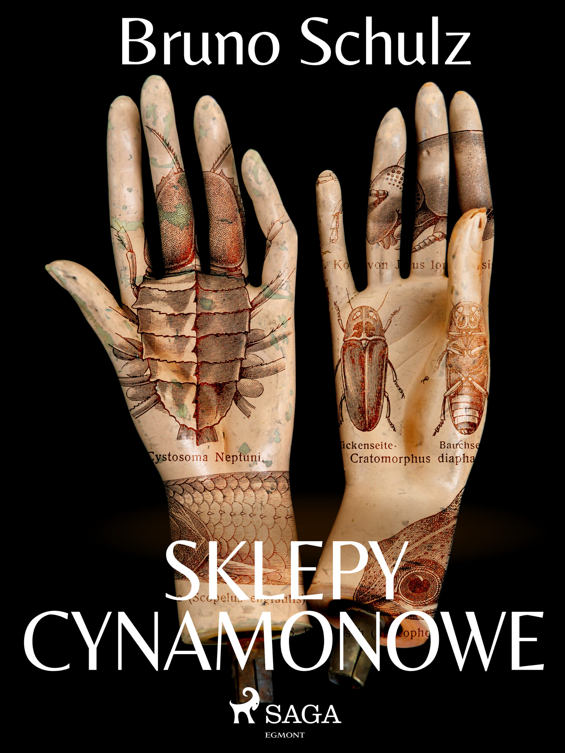 Tytuł: Sklepy cynamonowe - zbiór
Autor: Bruno Schulz
Wydawnictwo: SAGA Egmont
Formaty: EPUB, MOBI