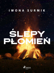 Ślepy płomień — okładka e-booka