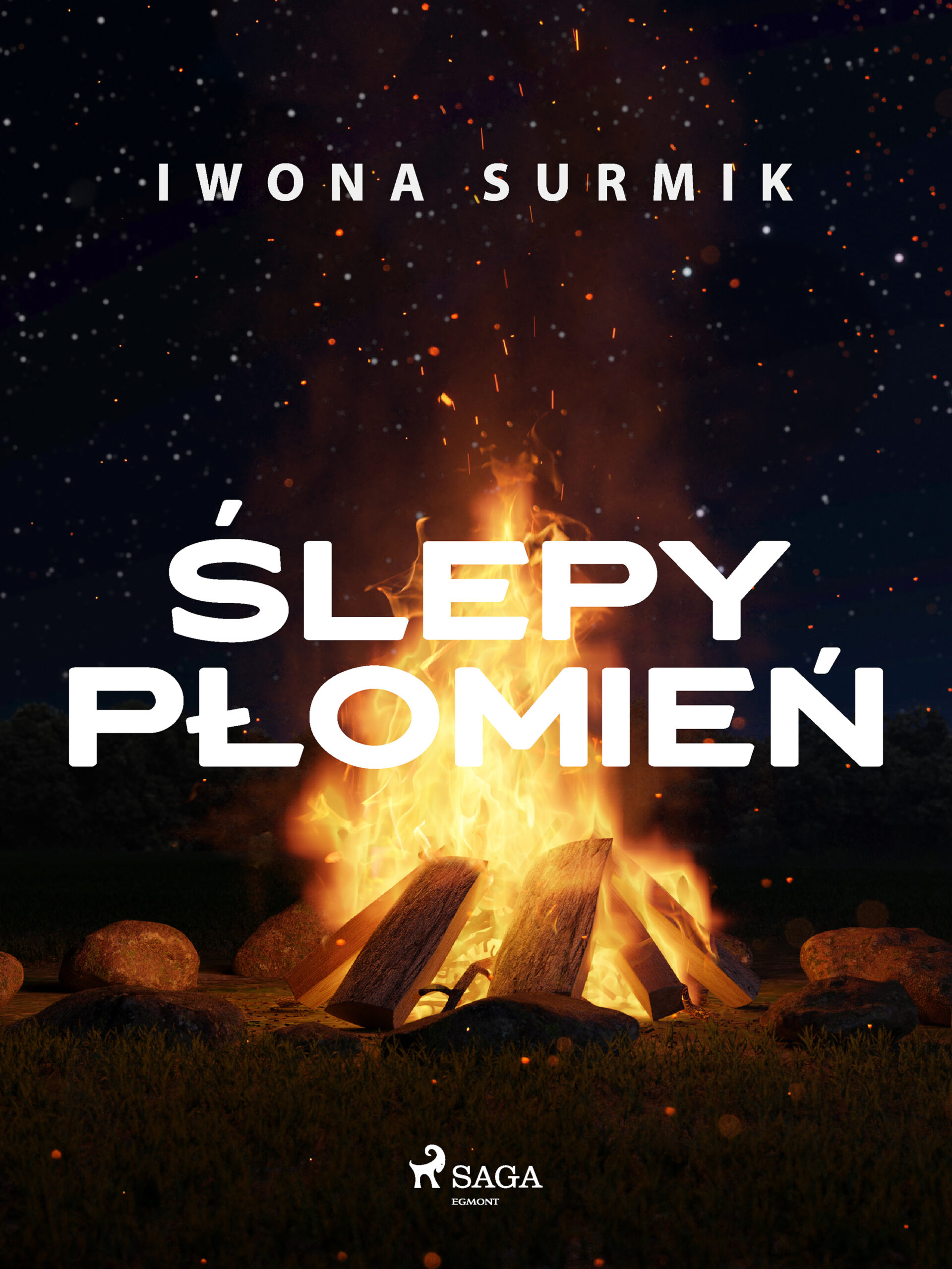Tytuł: Ślepy płomień
Autor: Iwona Surmik
Wydawnictwo: SAGA Egmont
Formaty: EPUB, MOBI