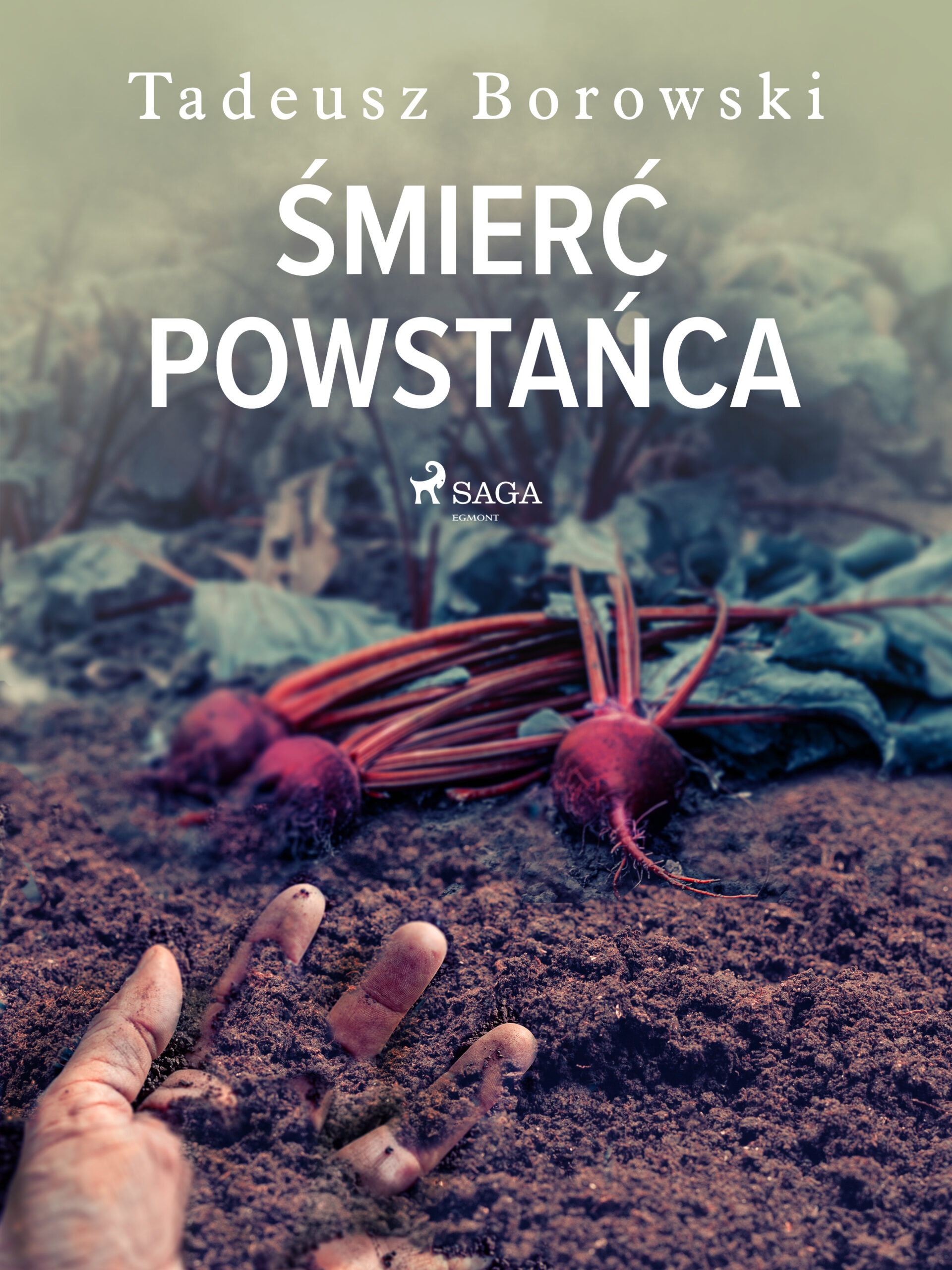 Tytuł: Śmierć powstańca
Autor: Tadeusz Borowski
Wydawnictwo: SAGA Egmont
Formaty: EPUB, MOBI
