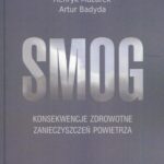 Smog — okładka e-booka