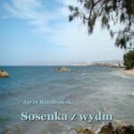 Tytuł: Sosenka z wydm
Autor: Jerzy Bandrowski
Wydawnictwo: Armoryka
Formaty: MOBI, EPUB