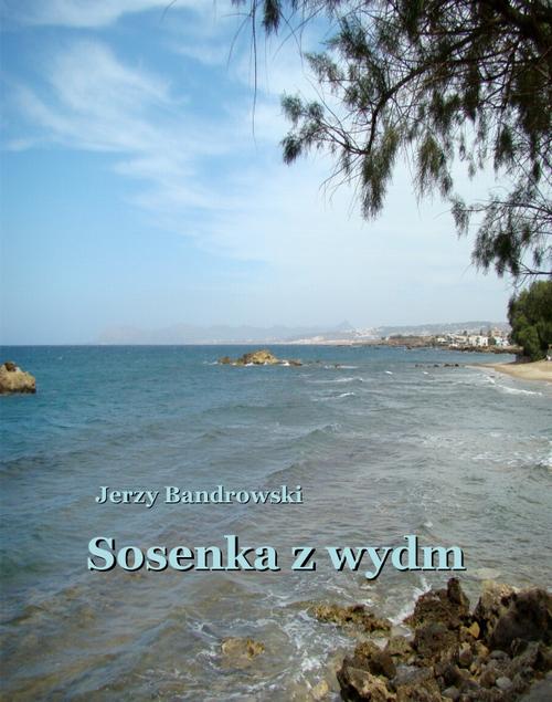 Tytuł: Sosenka z wydm
Autor: Jerzy Bandrowski
Wydawnictwo: Armoryka
Formaty: MOBI, EPUB