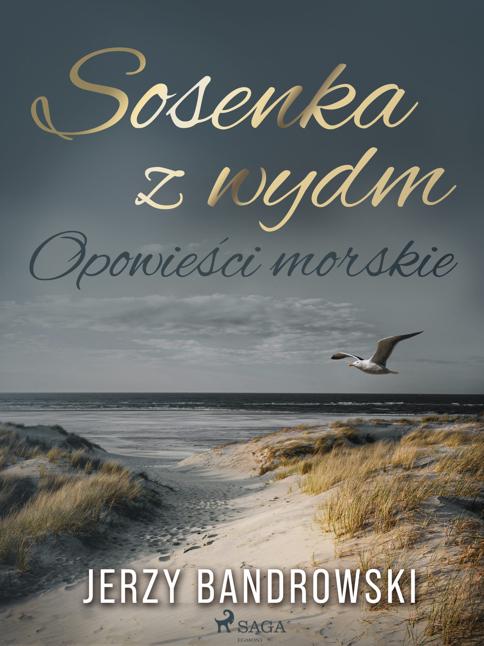 Tytuł: Sosenka z wydm. Opowieści morskie
Autor: Jerzy Bandrowski
Wydawnictwo: SAGA Egmont
Formaty: EPUB, MOBI
