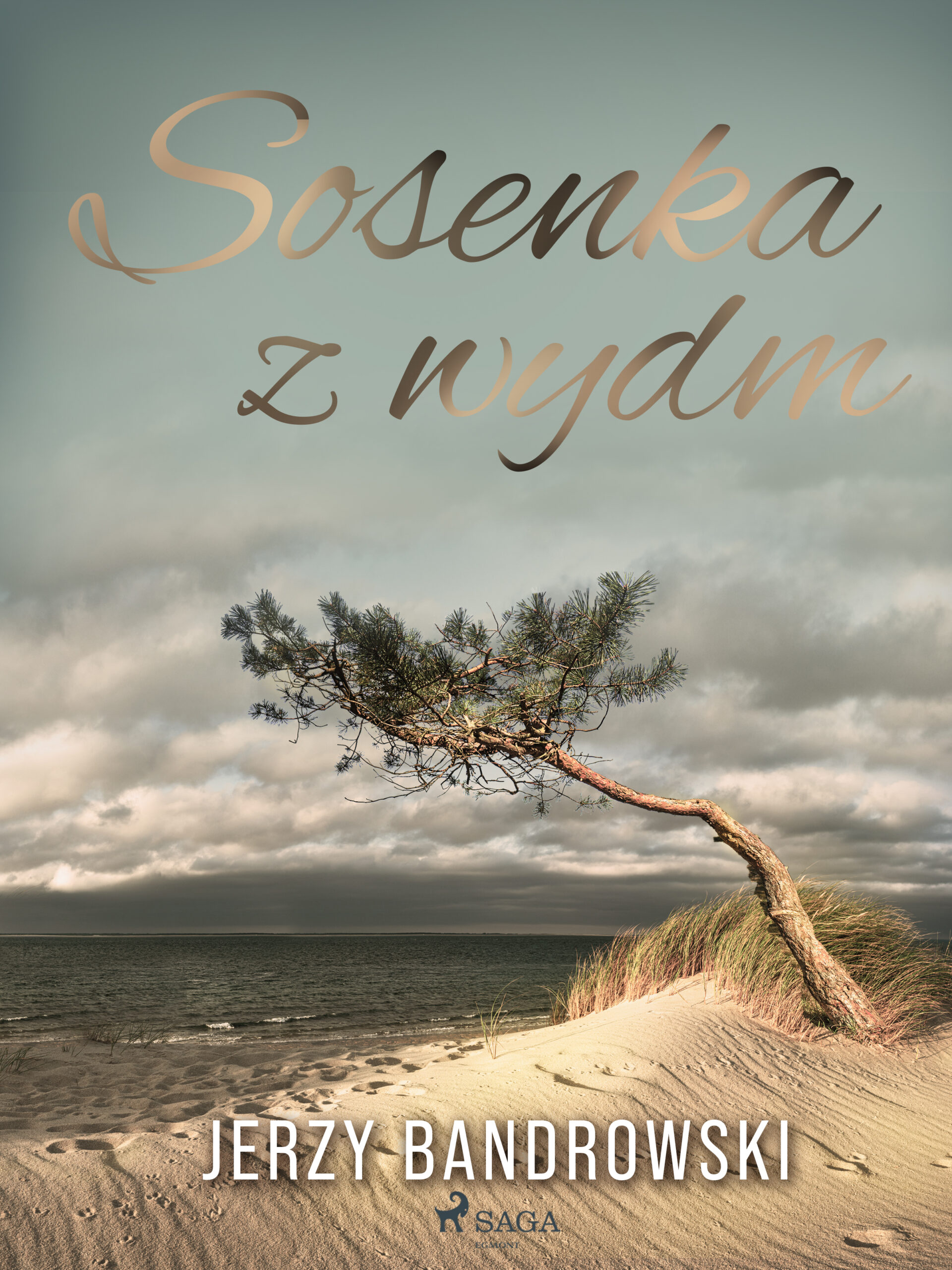 Tytuł: Sosenka z wydm
Autor: Jerzy Bandrowski
Wydawnictwo: SAGA Egmont
Formaty: EPUB, MOBI