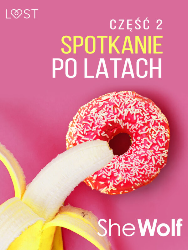 Spotkanie po latach 2 – opowiadanie erotyczne — okładka e-booka