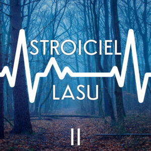 Stroiciel lasu — okładka