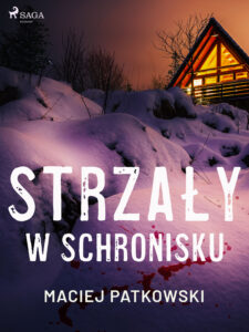 Strzały w schronisku — okładka e-booka