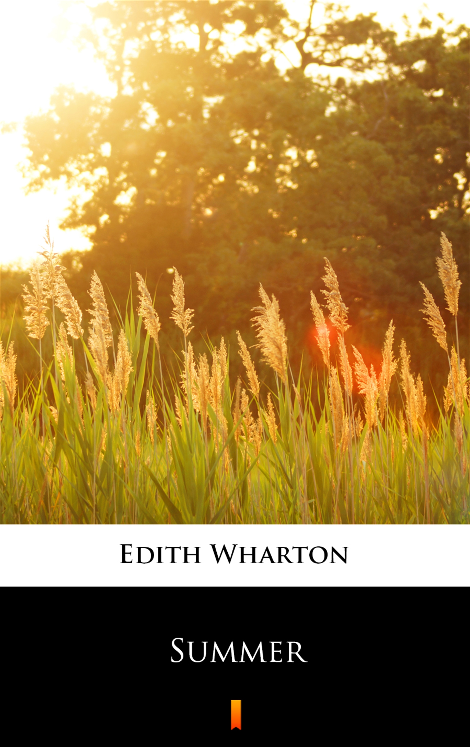 Tytuł: Summer
Autor: Edith Wharton
Wydawnictwo: KtoCzyta.pl
Formaty: EPUB, MOBI