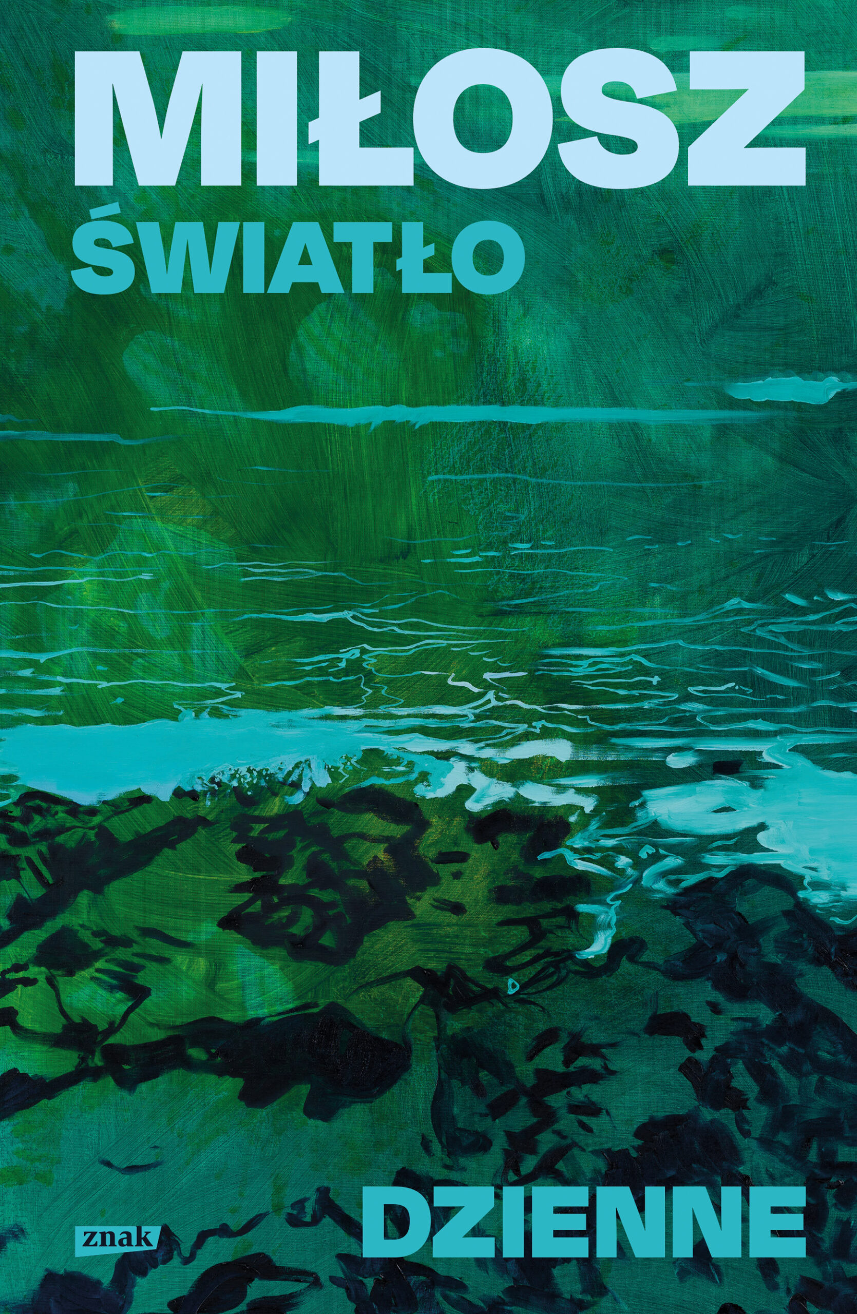 Światło dzienne — okładka