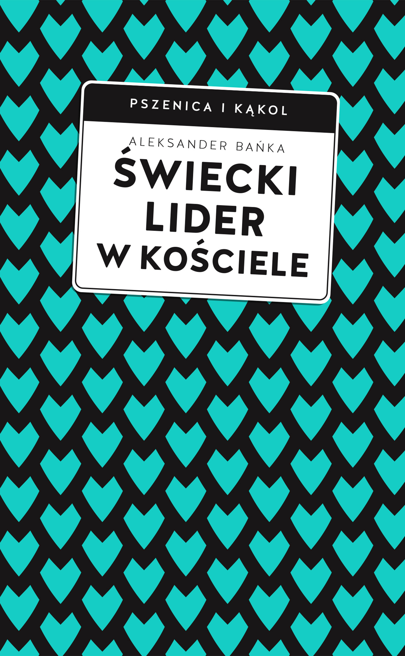 Świecki lider w Kościele — okładka e-booka