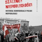 Szaleńcy niepodległości. Historia Konfederacji Polski Niepodległej — okładka e-booka
