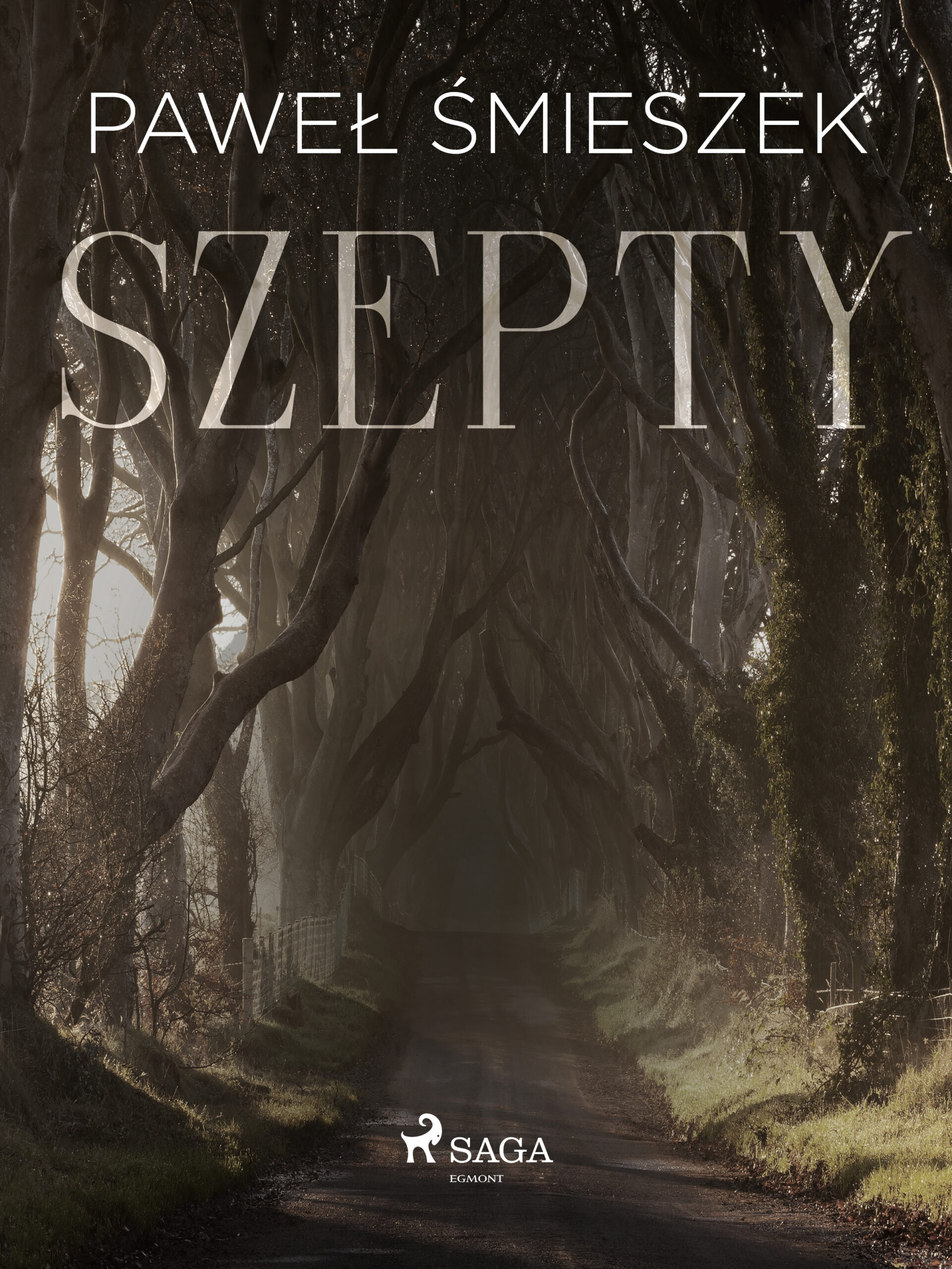 Tytuł: Szepty
Autor: Paweł Śmieszek
Wydawnictwo: SAGA Egmont
Formaty: EPUB, MOBI