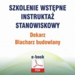Szkolenie wstępne Instruktaż stanowiskowy Dekarz. Blacharz — okładka e-booka