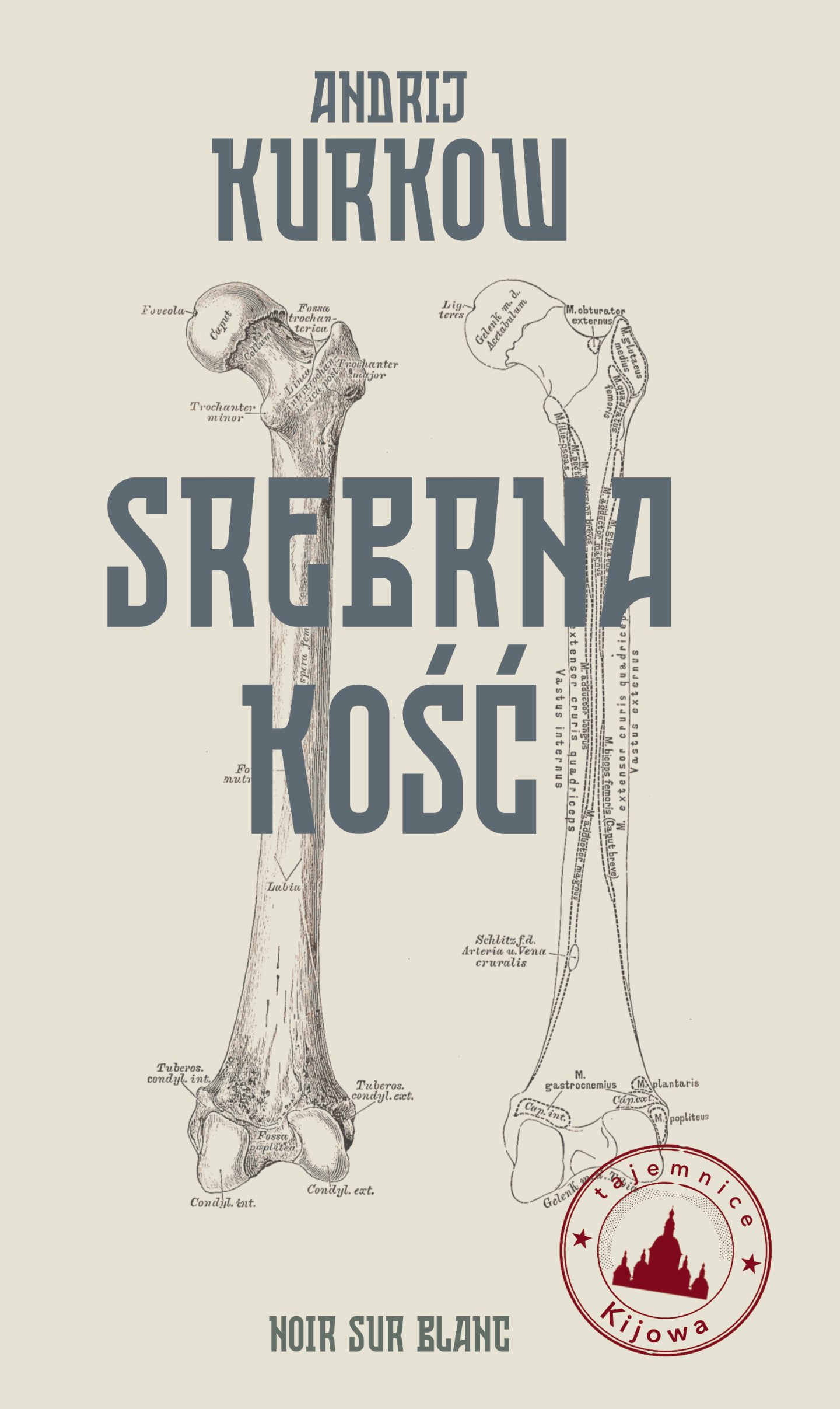 Tajemnice Kijowa (#1). Srebrna kość. Tajemnice Kijowa — okładka