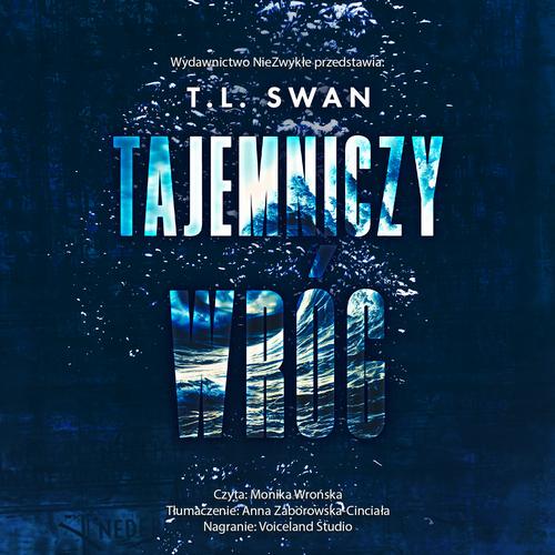 Tytuł: Tajemniczy wróg
Autor: T. L. Swan
Wydawnictwo: NieZwykłe Zagraniczne
Formaty: MP3