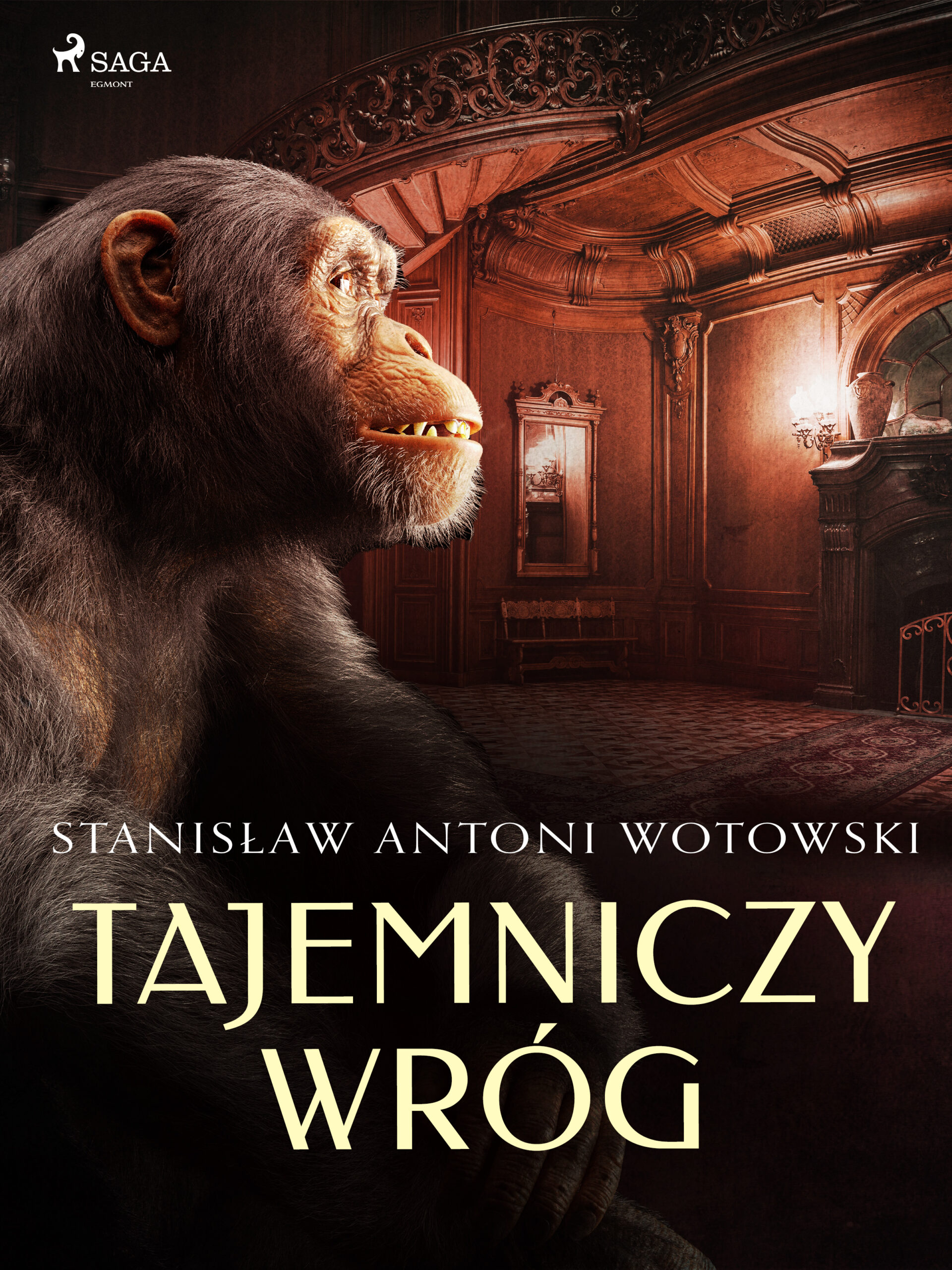 Tytuł: Tajemniczy wróg
Autor: Stanisław Wotowski
Wydawnictwo: SAGA Egmont
Formaty: EPUB, MOBI