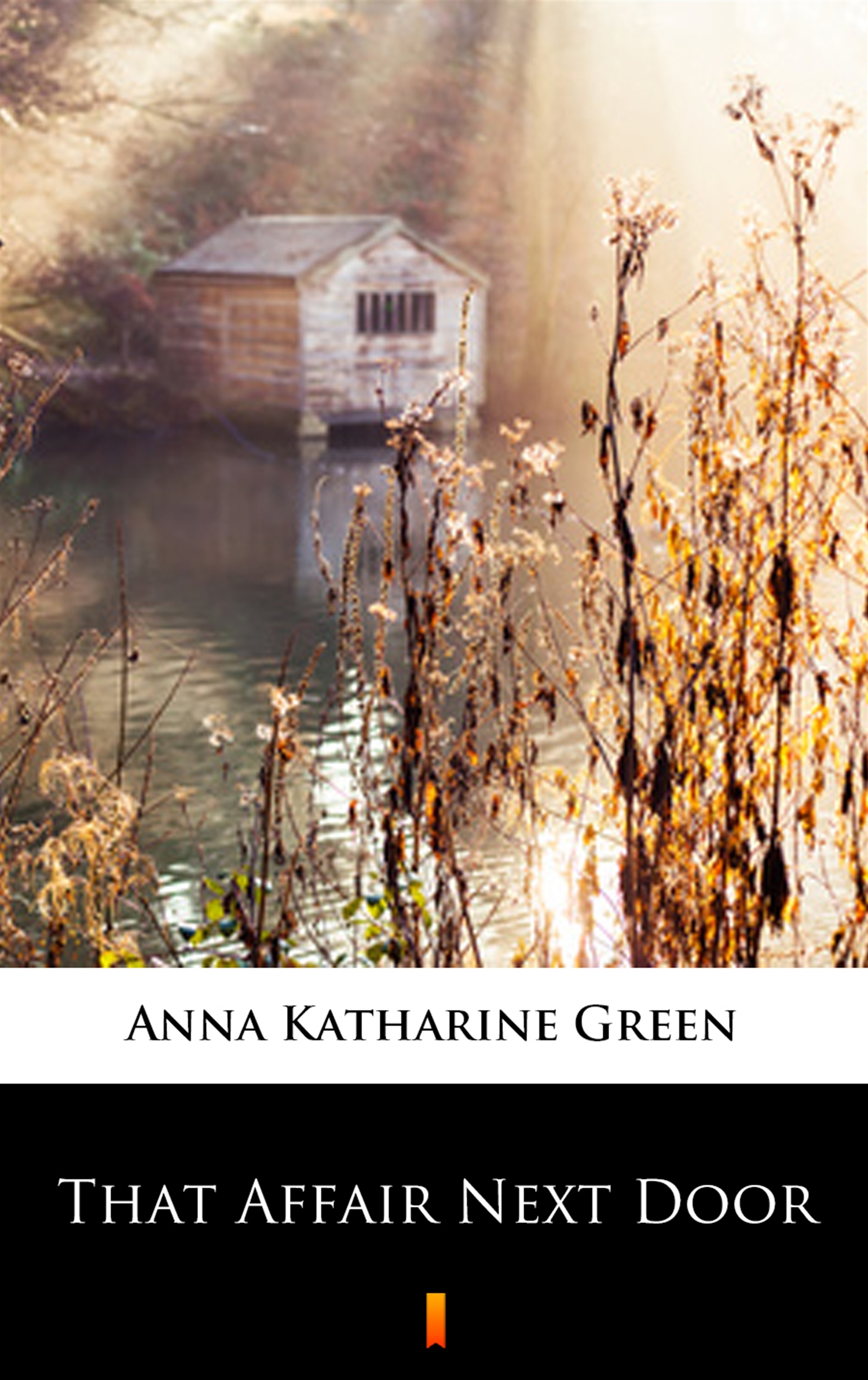 Tytuł: That Affair Next Door
Autor: Anna Katharine Green
Wydawnictwo: KtoCzyta.pl
Formaty: EPUB, MOBI