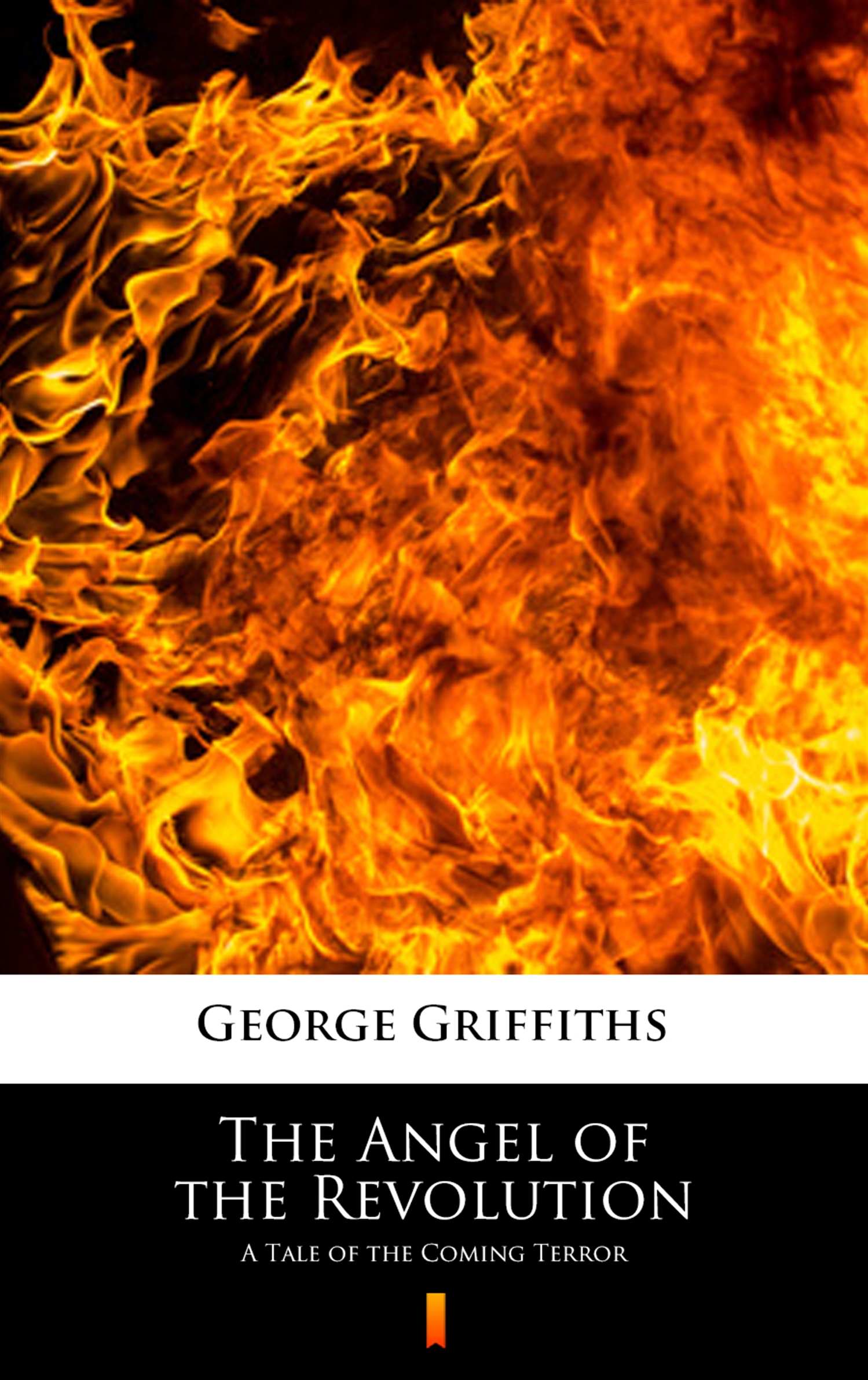 Tytuł: The Angel of the Revolution. A Tale of the Coming Terror
Autor: George Griffiths
Wydawnictwo: KtoCzyta.pl
Formaty: EPUB, MOBI