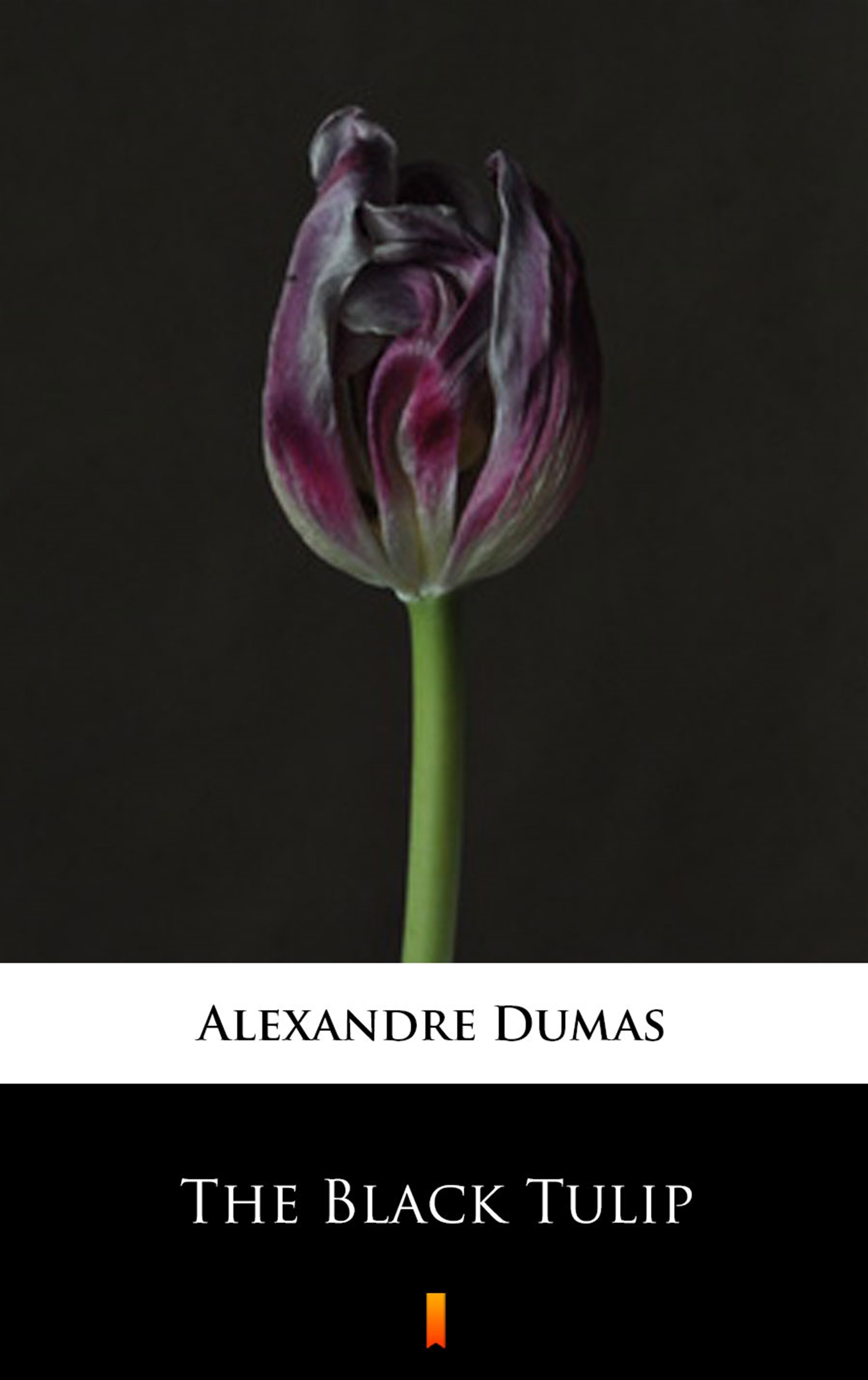 Tytuł: The Black Tulip
Autor: Alexandre Dumas
Wydawnictwo: KtoCzyta.pl
Formaty: EPUB, MOBI