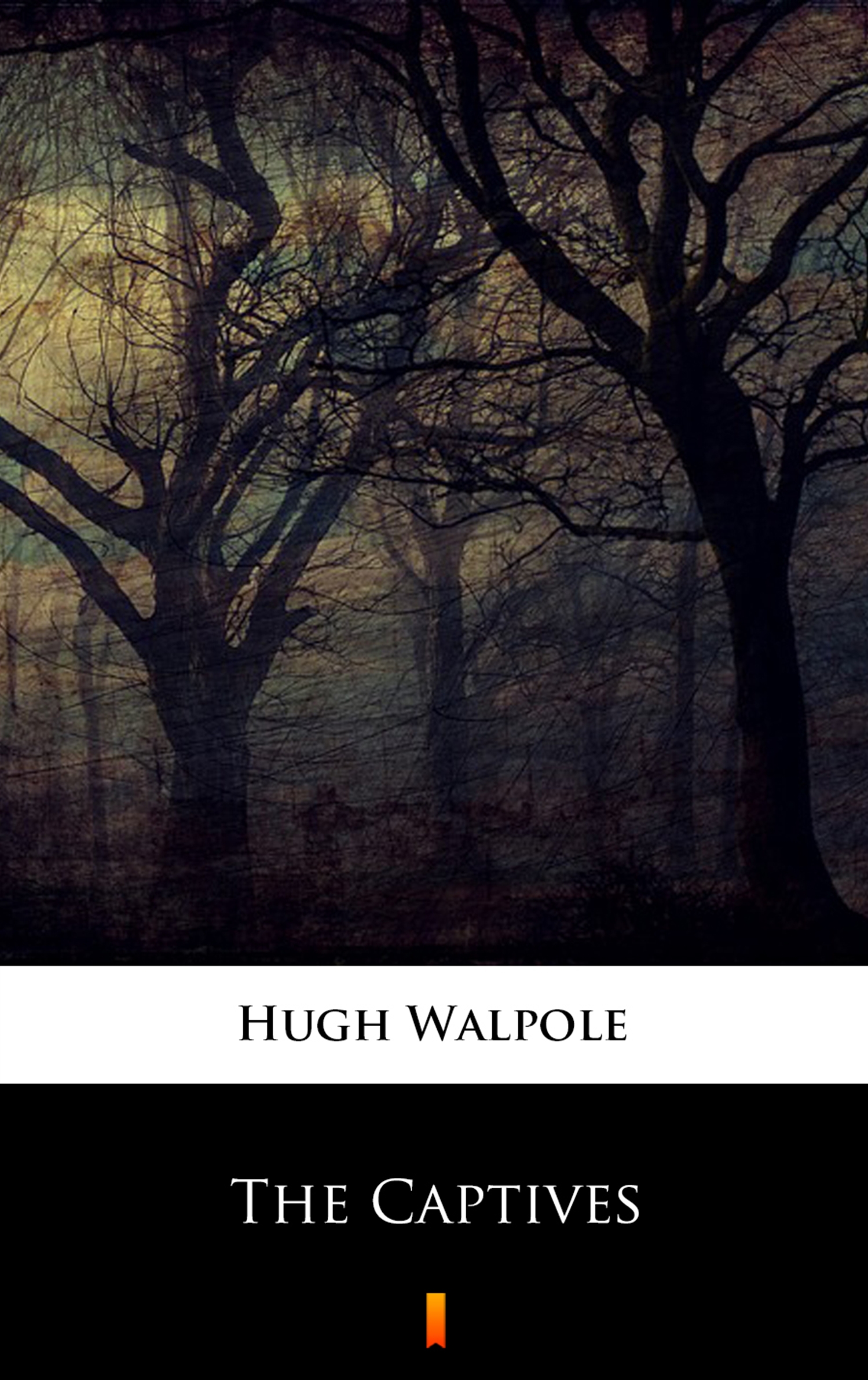 Tytuł: The Captives
Autor: Hugh Walpole
Wydawnictwo: KtoCzyta.pl
Formaty: EPUB, MOBI