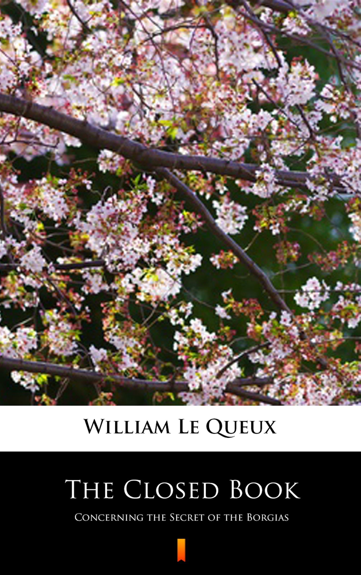 Tytuł: The Closed Book. Concerning the Secret of the Borgias
Autor: William Le Queux
Wydawnictwo: KtoCzyta.pl
Formaty: EPUB, MOBI